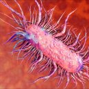 카카랜드 이미지