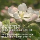 니아