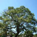 용성3리 이미지