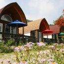 푸른나래펜션 이미지