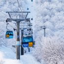 모나용평 당구장 이미지