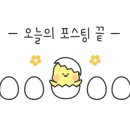 진해대신서점 이미지