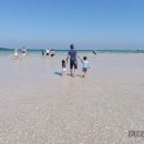 거북이 주유소 | 제주도여행 후기~♡
