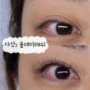 올데이래쉬 | 야간 시술 가능한 다산 속눈썹 맛집 "올데이래쉬" 연장 만족 후기
