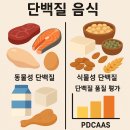 이경은피부관리 | 중산동 헬스장 단백질 음식의 종류와 차이에 대한 모든