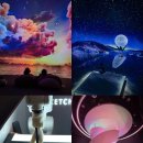 41190-01-07-338 | 강원도 속초 실내 아이랑 가볼만한곳 속초 핫플 뮤지엄엑스