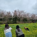 또오리반점 | 3/23~26 제주 자부여행 part4/제주로렌트카 후기