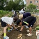송탄초등학교 이미지