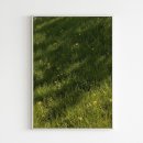 올웨이즈 이미지