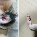 두리동물클리닉 이미지