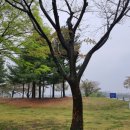 백로공원 화장실 이미지