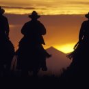 수원-0671 이미지