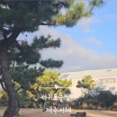 안덕면 신신펜션 이미지