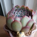 나비공방 이미지