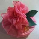 월간화과점 | [W1]양가 인사 선물 뭐할까? 준비부터 후기까지!(달콤푸릇본점, 월간화과점)