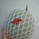 야훼농장 이미지