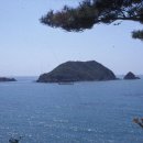 다대1동-16 네이버블로그