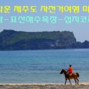 새날목장 | 제주도 자전거여행 4일차[보목항-쇠소깍-표선해수욕장-섭지코지-성산일출봉]