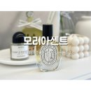 모리아센트