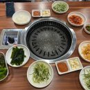 돼지야놀자 이미지