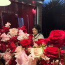 T-ONE ZONE | 이태원 한남동 팝업 로제 팝업스토어 [one year of rosie] 방문후기 굿즈 LP청음 인생네컷 등