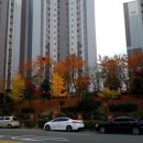 수월배수펌프장 이미지