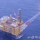 대우가스주 머니투데이
