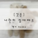 정이깃든 | 강아지, 고양이 털 관리 쉬운 침구류 | 깃든 나란히 침대패드 추천 | 내돈내산