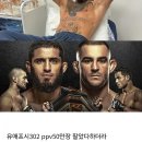 맥그리거 : UFC 302 이미지