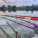 호암지낚시터 이미지