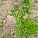 현기농장 이미지