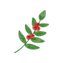 루피펫살롱 이미지