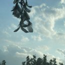 남현한의원 이미지