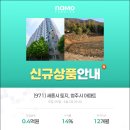 나모세종