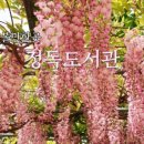창북중학교 도서관 이미지