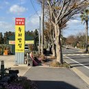 밥집 | 서귀포 한정식 전복솥밥과 갈치조림 누이밥집 후기