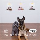 구리 반려동물동반 사진관 추천 &#39;구리 셀프사진관 그리고 당신&#39;