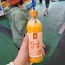 마운틴포포팜 | [제주] 20220613-20220616, 제주도3박4일 6인 가족여행_ 제주도 갈만한곳과 기타정보