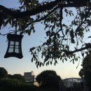 오즈의성어린이집 | 엄마교사. 메갈교사.. 여자의 피는 파란색이 아니다