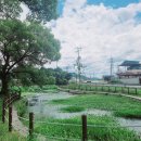 감문국이야기 이미지