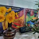 바이올린2 이미지