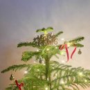 사계절꽃집 이미지