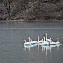 광교호수로 이미지