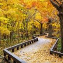 문화관광 코스 이미지