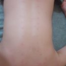 휠로스 인 김미주 스킨케어 | 경산피부관리실 휠로스 in 김미주 스킨케어샵