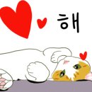 찜닭플렉스 이미지