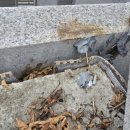 문래로30길 | 관악 대리석 떨어짐 파손으로 수리 - 외부 판재 시공