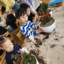 마곡초교병설유치원 이미지