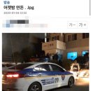 돈가스다 이미지