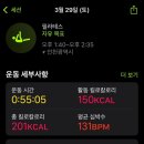 쌍둥이화원